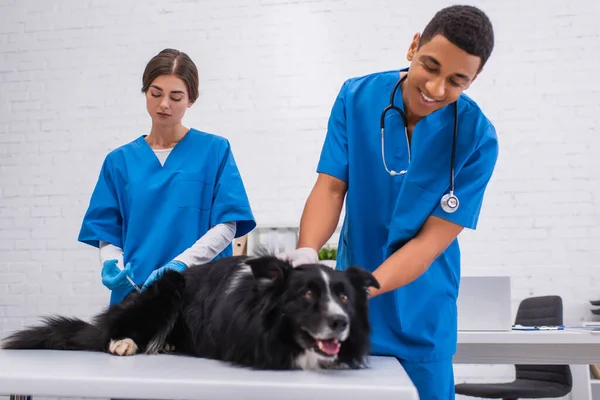 Tierarzt impft Border Collie neben lächelndem afrikanisch-amerikanischem Kollegen in Uniform in Klinik — Stockfoto