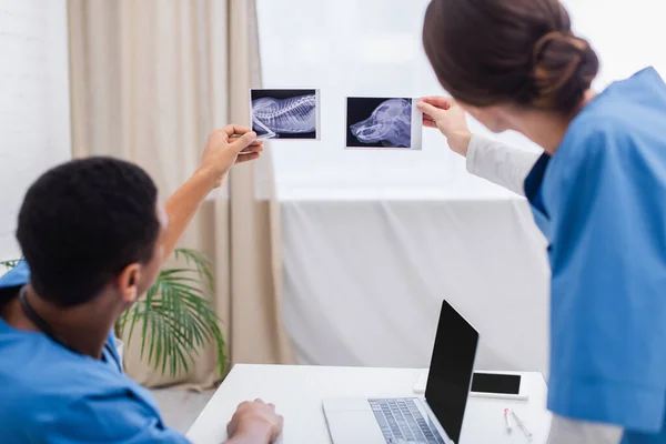 Blurred interracial veterinarians holding ultrasound scans near devices in clinic — Photo de stock