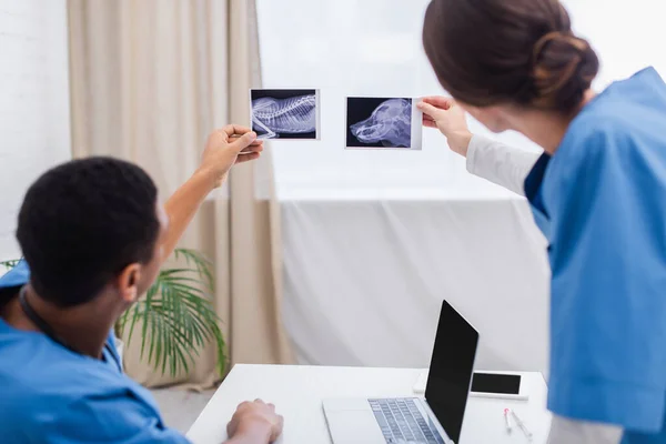 Verschwommene Tierärzte mit Ultraschalluntersuchungen in der Nähe von Geräten in der Klinik — Stockfoto