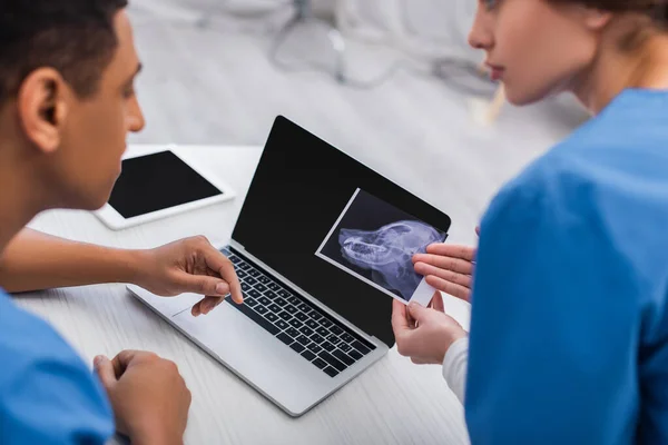 Verschwommene multiethnische Tierärzte arbeiten mit Ultraschalluntersuchungen von Tieren in der Klinik — Stockfoto