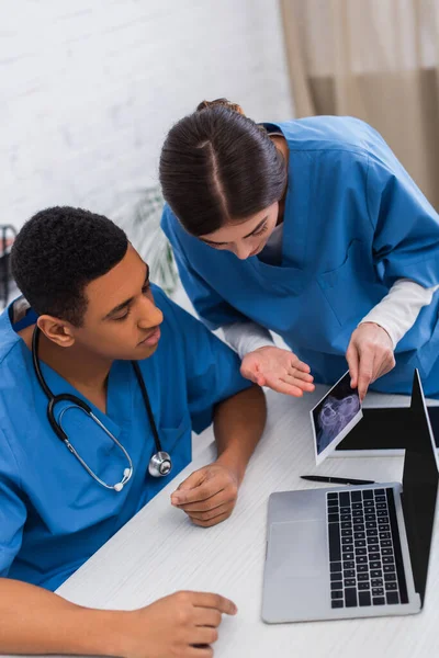 Doctor pointing at ultrasound scan of animal near african american colleague and devices in clinic - foto de stock