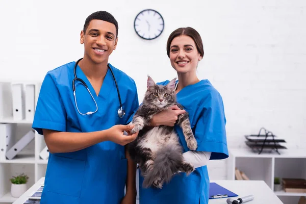 Cheerful multiethnic veterinarians in uniform holding maine coon in clinic — Photo de stock