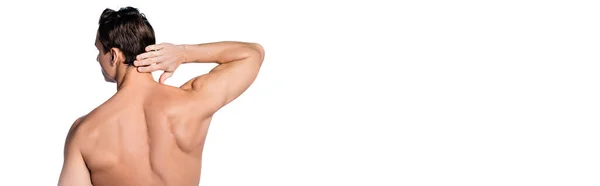 Вид ззаду без сорочки м'язистий чоловік торкається шиї ізольований на білому фоні, банер — стокове фото