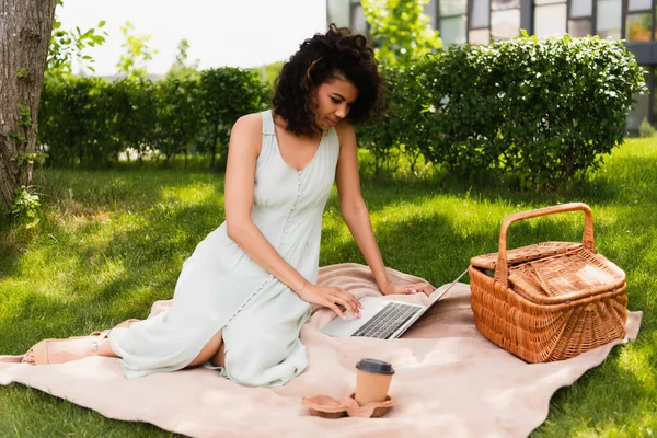 Freelancer afro-americano satisfeito usando laptop perto cesta de vime e xícara de papel no cobertor no parque verde — Fotografia de Stock
