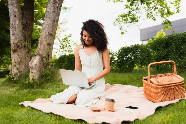 Pleased african american woman using laptop near wicker basket and paper cup on blanket in green park — Stock Photo