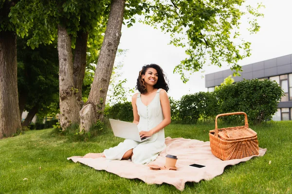 Mujer afroamericana usando portátil cerca de canasta de mimbre y taza de papel en manta en el parque verde - foto de stock