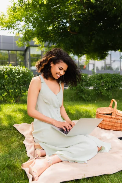 Усміхнена афроамериканська жінка використовує ноутбук біля плетеного кошика на ковдрі в парку — стокове фото
