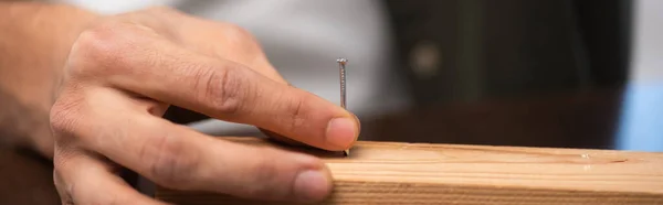 Cropped view of craftsman holding nail near wooden plank at home, banner — Photo de stock