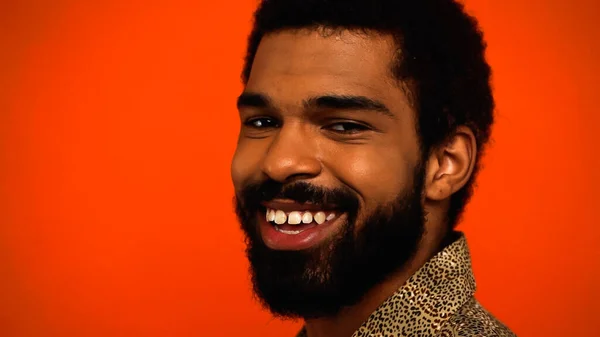 Homem americano africano feliz e jovem com cabelo encaracolado e barba isolada em laranja — Fotografia de Stock