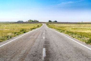 Yazın sonunda bozkırda işaretli asfalt yol. Fotoğraf Rusya 'da Chelyabinsk bölgesinde çekildi.