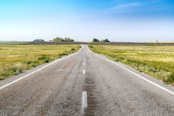 Yazın sonunda bozkırda işaretli asfalt yol. Fotoğraf Rusya 'da Chelyabinsk bölgesinde çekildi.