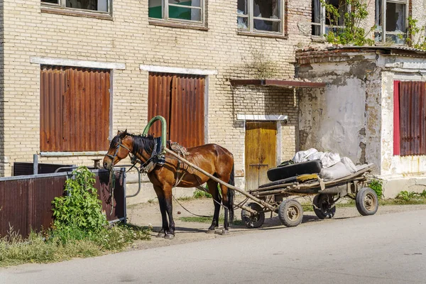 Cavalo Atrelado Uma Carroça Perto Edifício Abandonado Casa Cultura Numa — Fotografia de Stock