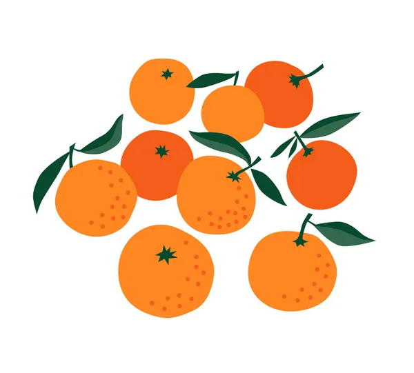 オレンジの柑橘類の束、緑の葉で全体の新鮮な果物。白を基調としたミニマルなイラスト. ロイヤリティフリーのストックイラスト