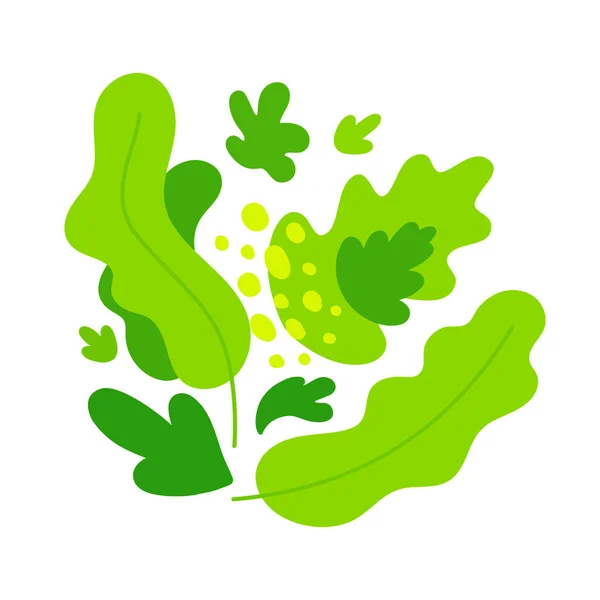 Composition de salades vertes abstraites. Illustration vectorielle en couleur plate isolatd sur blanc. — Image vectorielle