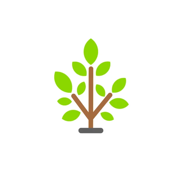 地面に小さく葉の多い緑色の苗。若い木や低木。白で区切られたベクトルフラットカラーアイコン. — ストックベクタ