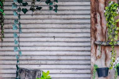 Kapalı dükkanın garaj kapısı önünde süs bitkisi var.