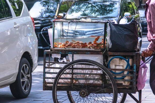 街の歩道の路上販売車から水族館で金魚を生きている — ストック写真