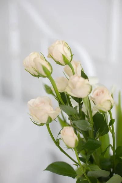 Rosas Blancas Jarrón Sobre Fondo Blanco —  Fotos de Stock