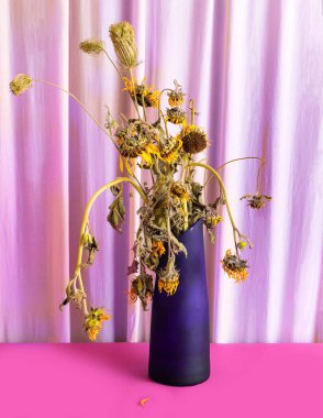 Ölen ayçiçekleri hala hayat konsepti. Geçmişe dönük zambak ve mor yalnız arka plan.