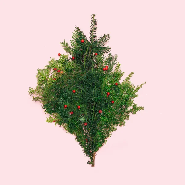 Konsep Yang Menginspirasi Berbagai Macam Cabang Pohon Cemara Segar Pinus — Stok Foto