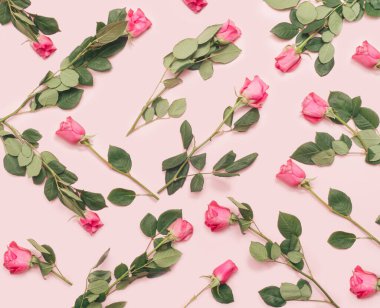 Çiçekli nazik ve taze güller ilham verici bir kavram. Açık pembe arkaplana karşı güllerden yapılmış düz bir düzenleme.