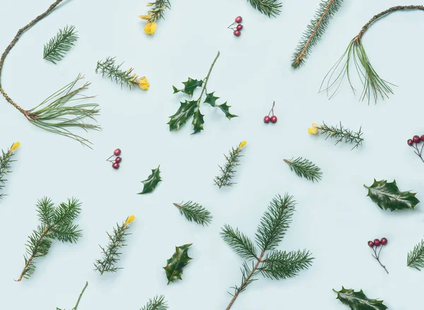 Εορταστική Εμπνευσμένο Μοτίβο Λίγα Φρέσκα Gorse Hedging Holly Φυτό Κλαδιά — Φωτογραφία Αρχείου