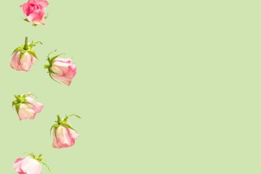 Aşağı inip düşen çiçekler konsepte ilham verdi. Gül tomurcuklarının minimum düzenlenmesi güzel yeşil bir arka planda gerçekleşir. Yaratıcı kopyalama alanı.