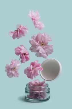 Soyut asgari güzellik konsepti. Güzel kozmetik kavanozu bir sürü pembe kiraz çiçeğinin uçup gitmesi gibi. Mavi arkaplan