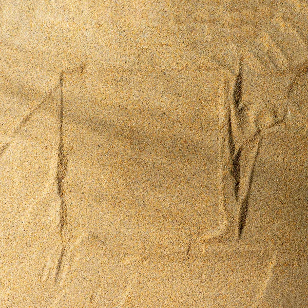 沙地背景 框架由凸起的沙地和阳光的棕榈叶构成 从上面看 — 图库照片