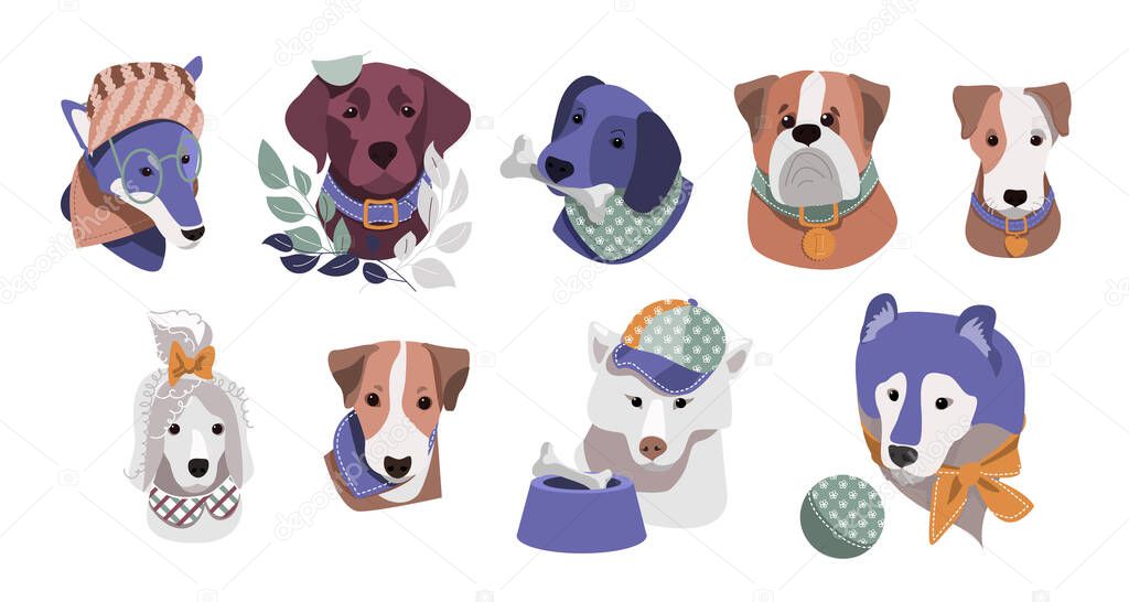 dogs dressed in funny headscarves, glasses, hats. funny dogs in beautiful bandanas, with medals, with a bowl, with medallions, with balls and toys
