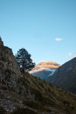 Dağ manzarası, yamaçtaki yalnız ağaç, bulutlardaki kayalar, dağlık arazide akşam, yaz
