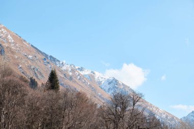 Dağlardaki manzara, nehir ve kozalaklı orman, sonbahar, yamaçlardaki ilk kar, devrilmiş ağaçlar ve çalılar.