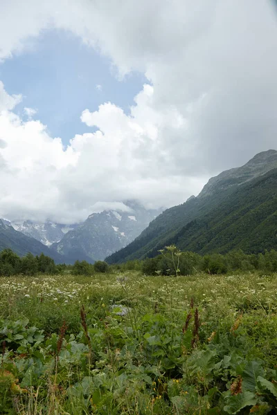 Manzara, dağ manzarası, alp çayırları ve buzlu dağ zirveleri, dağ yamacında küçük bir ev.