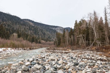 Winte 'deki dağ manzarası, nehir ve kayalık kıyı, arka planda dağlar ve orman, yuvarlak taşlar, soğuk