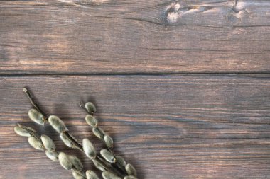 Paskalya geçmişi. Koyu bir ahşap arka planda altta söğüt dalları.