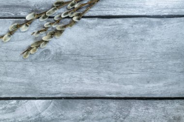 Paskalya geçmişi. Hafif ahşap arka planda yukarıdan söğüt dalları.