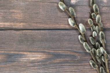 Paskalya geçmişi. Sağdaki söğüt, koyu renk ahşap arka plan..