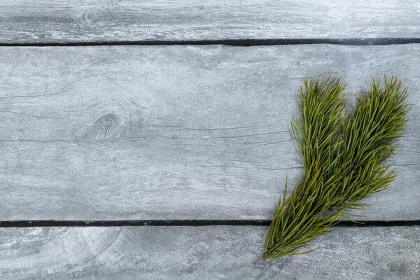 Pine branch on a light wood background.