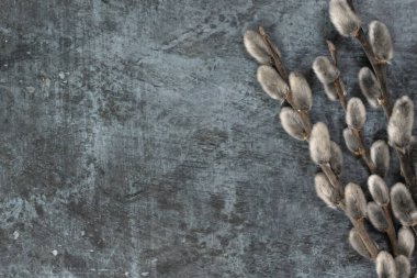 Paskalya geçmişi. Söğüt dalları sağda, koyu bir arkaplanda.