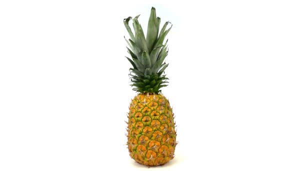 Zamknij ananasa. Ananas przędzenia i rotacji izolowane na białym tle.Dojrzały ananas w całości w pełnym wzroście — Wideo stockowe