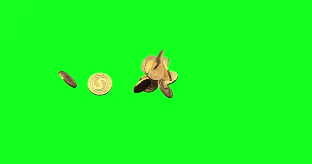 Dólar abstrato moeda caindo na chave chroma verde screen.Gold moeda com marca de dólar 3d rendering.Close-se símbolo macro sobre finanças e money.4k.Cryptocurrency com usd.Virtual internet money.Single — Vídeo de Stock