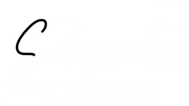 Animasyon Aboneliği Görünüyor. El çizimi metin iletisi taşınıyor. Kelime aboneliğinin siyah fırça metninin animasyonu. Beyaz arka plandaki siyah çizgi dünya aboneliği, izole çizim. Boş