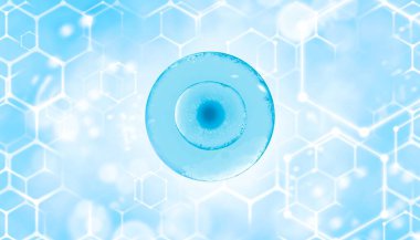 Yumurta hücre merkezli yüksek çözünürlüklü tıbbi pankart. Altılı hastane pankartı. Üreme tıbbında yüksek teknolojiler. 3 boyutlu suni döllenme mikroskop altında.