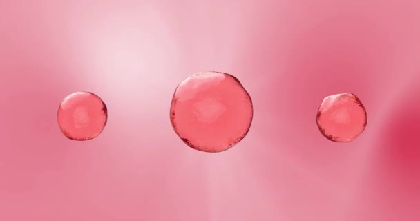 Animación de la fusión de agua, suero y vitaminas a partir de tres componentes activos. Una esfera rosa brillante de aceite, crema, tónico, suero o cosméticos para el cuidado de la cara o del cuerpo.Primer plano de un líquido transparente — Vídeos de Stock