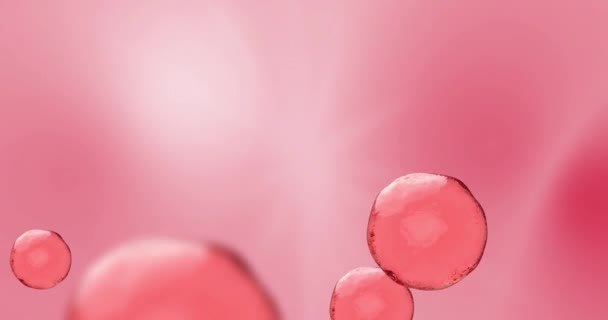 Animation of approach and movement of a bubble or drop of rose water, serum and vitamins for human health.Flying balls.Moving up.Footage with depth of field an blurred elements.A bright pink sphere of — стоковое видео