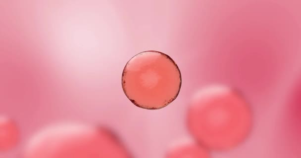 Animation der Verschmelzung von zwei Tropfen rosa Serums oder Vitaminen aus drei aktiven Komponenten. Eine leuchtend rosa Kugel aus Öl, Creme, Stärkungsmittel, Serum oder Kosmetik für Gesicht oder Körperpflege. — Stockvideo