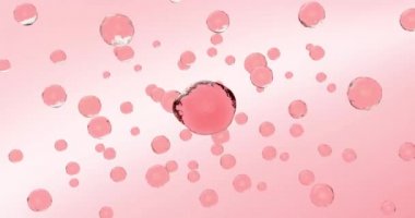 Animation of approach and movement of a bubble or drop of rose water, serum and vitamins for human health.A bright pink sphere of oil, cream, tonic, serum or cosmetics for face or body care.Close-up