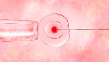 3 boyutlu suni döllenme mikroskop altında. Yumurta, tıbbi iğne, tüp, pipet. Pembe tonlarda, arka planı bulanık, röfle ve desenli güzel bir tıbbi afiş.