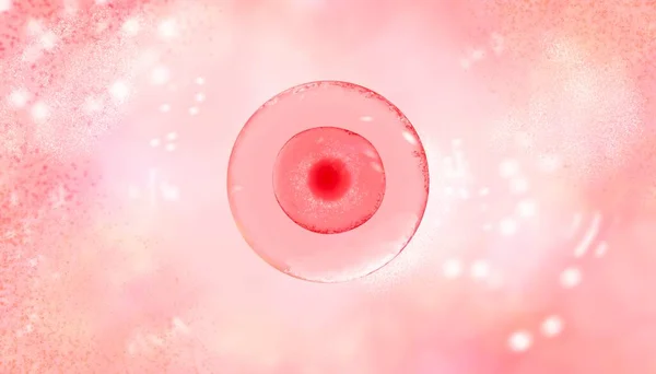 High resolution medical banner with woman egg cell Center. Banner for hospital. High technologies in reproductive medicine. 3d illustration of in vitro fertilization under a microscope. Beautiful — Foto Stock