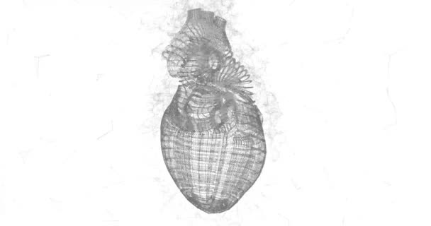 Human Heart Anatomy Plexus Lines Triangles Point Connecting Wireframe Network — Stock Video